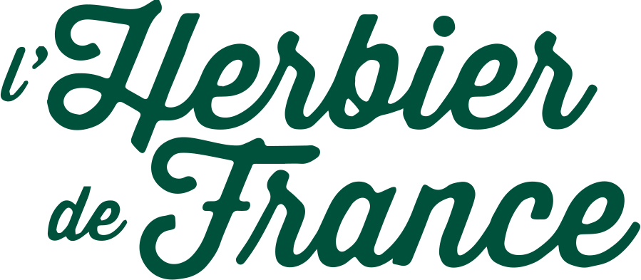 herbier-logo-vecto-vert-2-lignes